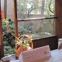 古月 - 懐かしい・・縁側付き。
