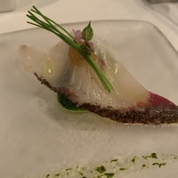 サーラ アマービレ - 