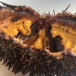 Peter's Sydney Fish Market - 