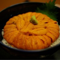 函館うに むらかみ 日本生命札幌ビル店 - 