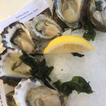 Sydney Cove Oyster Bar - 