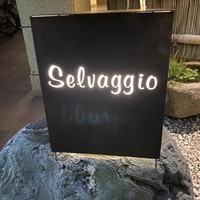 Selvaggio - 
