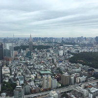 松阪牛 よし田 - 