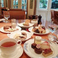 スプレンディード - 