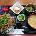 Shino Hara - 牛丼ランチ