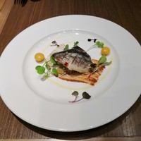 ダルマット 六本木ヒルズ店 - 