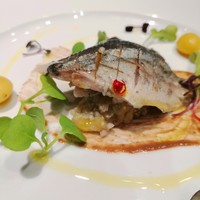 ダルマット 六本木ヒルズ店 - 