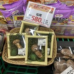 ブイチェーン - 松茸一本５８０円