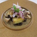 ヴィーヴルソレイユ - 