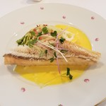 ヴィーヴルソレイユ - 