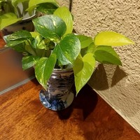 すし 喜邑 - 