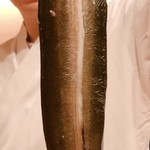 はらまさ - 琵琶湖の天然鰻