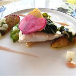 エリゼ光 - ウマヅラハギのソテー 赤カブとオリーブオイルのソース