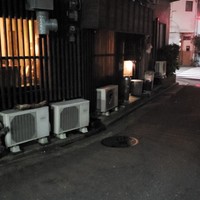 アカミヤコウシ - 