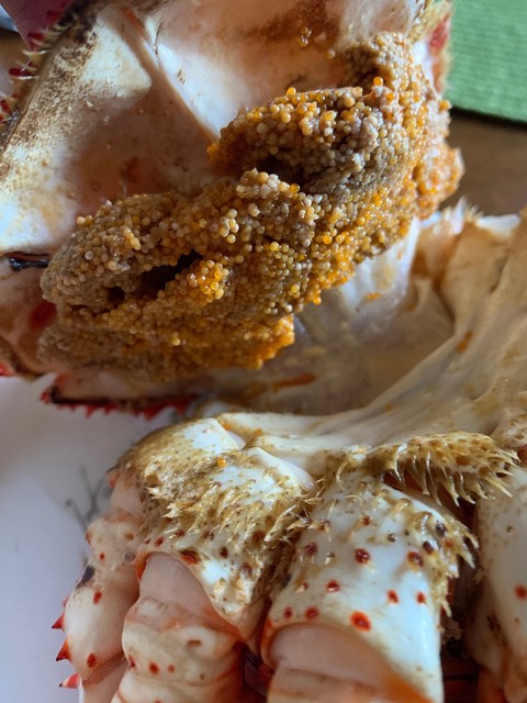 シーフード オガワ - 根室（その他）の写真