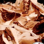 はらまさ - これで1人分の炊き込みご飯を作ってくださいます^_^
      豪快！！(^^)