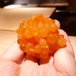 鮨 猪股 - 新いくら　なんだこりゃ！？新食感、初めての味