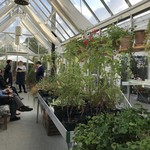 noma - まずは温室でアペリティフ