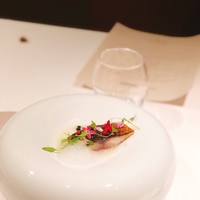 ジョンティ アッシュ - 