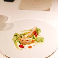 ジョンティ アッシュ - 