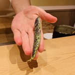 沼田 - 岐阜 秋縞ササゲ（インゲン）