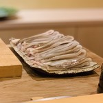 沼田 - 対馬 穴子ご登場