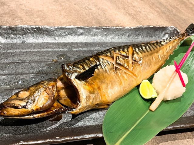 御肴ずっころばし 京都 居酒屋 ネット予約可 食べログ 御肴ずっころばし 京都 居酒屋 ネット予約可 食べログ