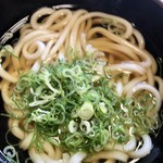 伊都菜彩 まるいとうどん - かけうどん