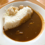 黒部ダムレストハウス - アーチダムカレー（900円）