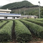 シエスタの森 - 梅田茶畑が