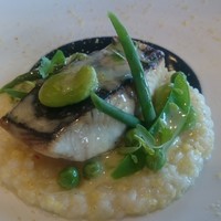 グリロジー バー＆グリル - 