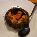 こい勢 - 殻付き雲丹