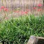 蕎麦料理 すみや - 