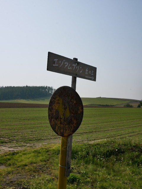 エゾアムプリン製造所 - 富良野（プリン）の写真