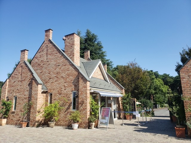 ザ トレジャーガーデン 旧店名 野鳥の森ガーデン 茂林寺前 カフェ 食べログ