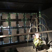 博多もつ鍋 やま中 赤坂店 - 