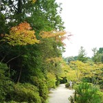 里 - 紅葉には早すぎましたが、ほんの少しだけ色づき始めてます。