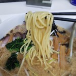 らぁめん天山 - 背脂味噌らぁめん（麺）