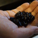 ザ・ミュンヒ - 深炒りの珈琲豆