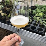 noma - nomaの菜園でウェルカムドリンクを