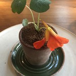 noma - boiled new potato