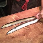 うなぎ屋酒坊・画荘 越後屋 - 