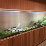 noma - 蟻を飼育してます。