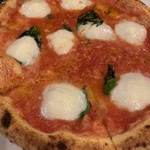 マッシモッタヴィオ - 