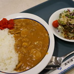 Taiheiyou Ferii Shikari - 船のまかないカレー（¥510税込み）&ミニサラダ（¥100税込み）フェリーいしかりの軽食コーナー、一押し〜！