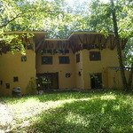 森の中のレストラン こどう - 