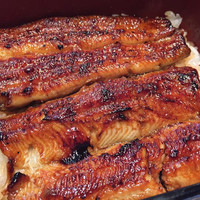 うなぎ藤田 白金台店 - 