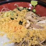 そばの神田 東一屋 - 揚げ玉ブチまけろ！  #BCMKR!