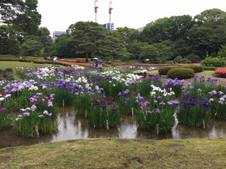 境港直送かに処 ごっつお - 