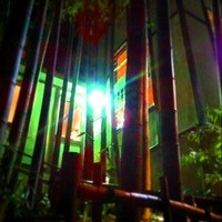 むくの実亭 - あやしげ？秘境にたたずむ